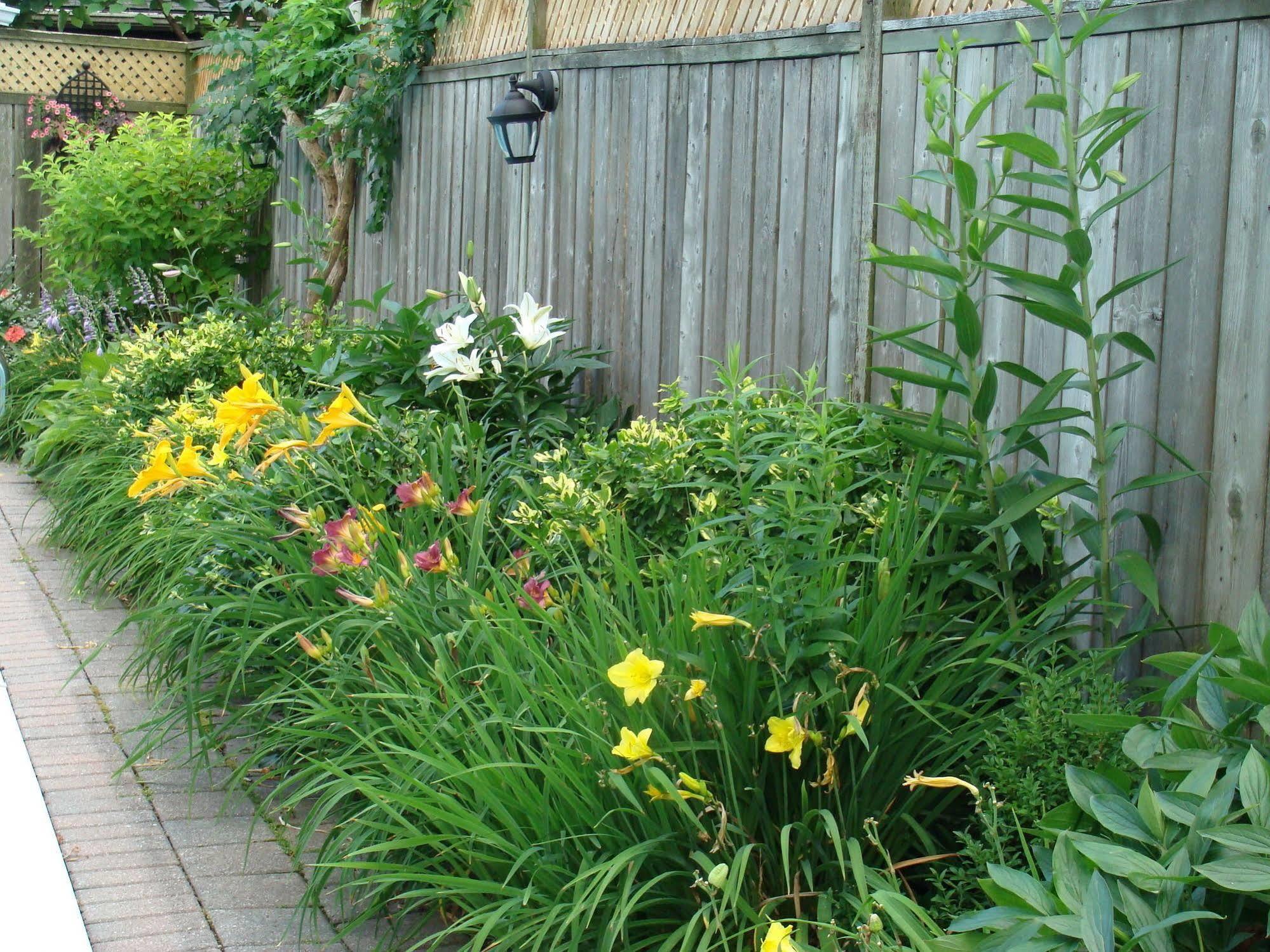 Robinsong Bed and Breakfast Thorold Exterior foto